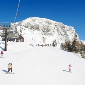 群馬県のゲレンデ スキー場で使えるクーポン一覧 スキー スノボの割引クーポン ダレモ ゲレンデ