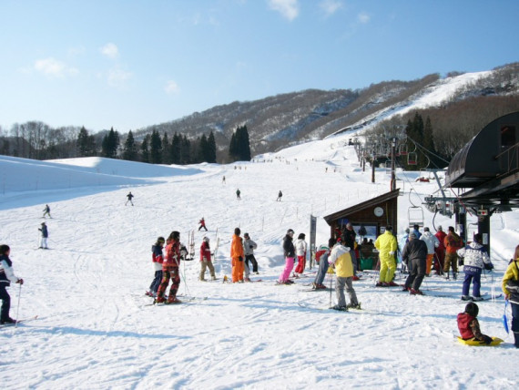 さかえ倶楽部スキー場で使えるクーポン一覧｜スキー・スノボの電子クーポン ダレモ【ゲレンデ】