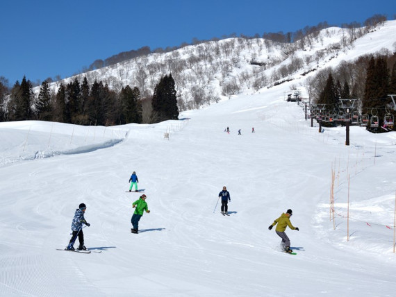 さかえ倶楽部スキー場で使えるクーポン一覧｜スキー・スノボの電子クーポン ダレモ【ゲレンデ】