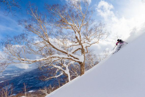 妙高 杉ノ原スキー場で使えるクーポン一覧｜スキー・スノボの電子クーポン ダレモ【ゲレンデ】