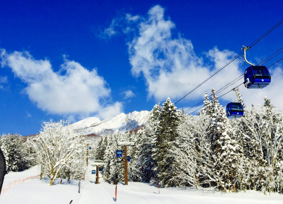 妙高 杉ノ原スキー場で使えるクーポン一覧｜スキー・スノボの電子クーポン ダレモ【ゲレンデ】