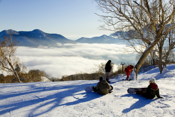 妙高 杉ノ原スキー場で使えるクーポン一覧｜スキー・スノボの電子クーポン ダレモ【ゲレンデ】