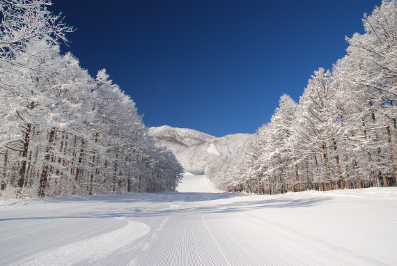 黒姫高原スノーパーク　リフト券 ⛄冬のお知らせ❄ 気づけばあっという間に11月がすぐそこに
