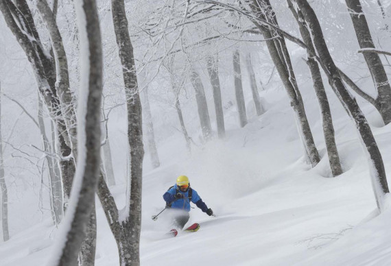 斑尾高原スキー場で使えるクーポン一覧｜スキー・スノボの電子クーポン ダレモ【ゲレンデ】