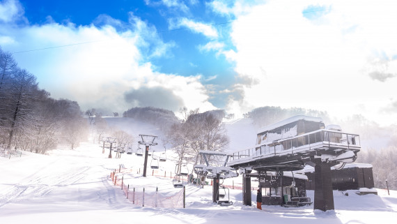 REWILD NINJASNOW HIGHLAND（リワイルド ニンジャ スノー ハイランド）で使えるクーポン一覧｜スキー・スノボの電子クーポン ダレモ【ゲレンデ】