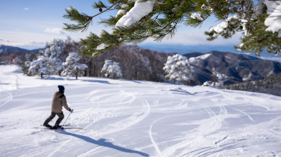 REWILD NINJASNOW HIGHLAND（リワイルド ニンジャ スノー ハイランド）で使えるクーポン一覧｜スキー・スノボの電子クーポン ダレモ【ゲレンデ】