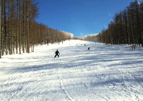 湯の丸スキー場で使えるクーポン一覧｜スキー・スノボの電子クーポン ダレモ【ゲレンデ】