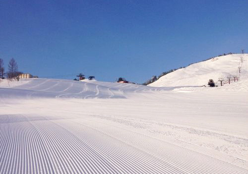 ハイパーボウル東鉢で使えるクーポン一覧｜スキー・スノボの電子クーポン ダレモ【ゲレンデ】