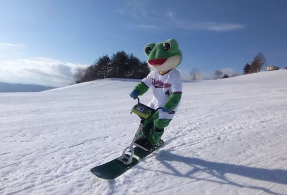 ハイパーボウル東鉢で使えるクーポン一覧｜スキー・スノボの電子クーポン ダレモ【ゲレンデ】