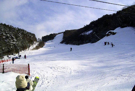 道後山高原スキー場で使えるクーポン一覧｜スキー・スノボの電子クーポン ダレモ【ゲレンデ】