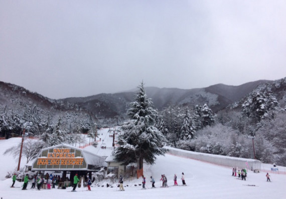 伊那スキーリゾートで使えるクーポン一覧｜スキー・スノボの電子クーポン ダレモ【ゲレンデ】