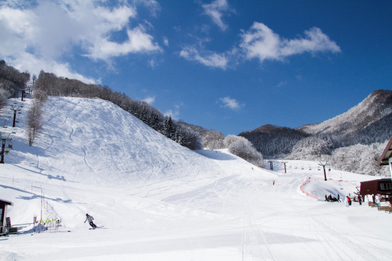 やぶはら高原スキー場で使えるクーポン一覧｜スキー・スノボの電子クーポン ダレモ【ゲレンデ】