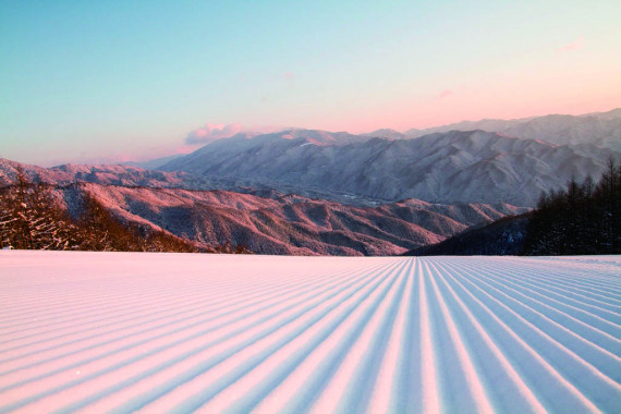 やぶはら高原スキー場で使えるクーポン一覧｜スキー・スノボの電子クーポン ダレモ【ゲレンデ】