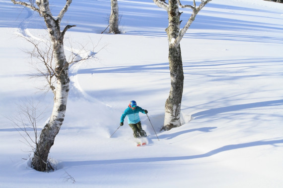 やぶはら高原スキー場で使えるクーポン一覧｜スキー・スノボの電子クーポン ダレモ【ゲレンデ】