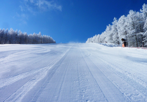 やぶはら高原スキー場で使えるクーポン一覧｜スキー・スノボの電子クーポン ダレモ【ゲレンデ】