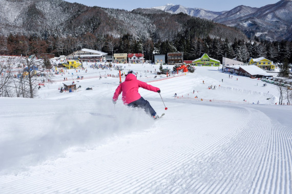 かたしな高原スキー場で使えるクーポン一覧｜スキー・スノボの電子クーポン ダレモ【ゲレンデ】