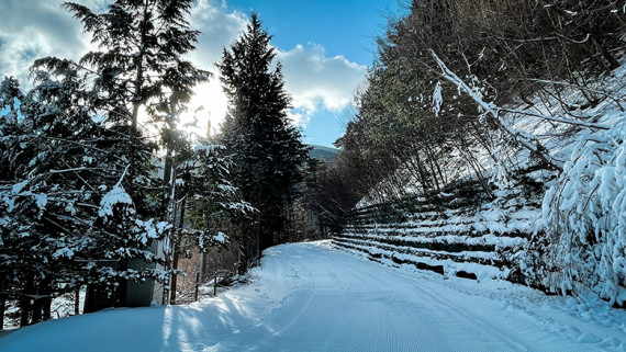 あさひプライムスキー場で使えるクーポン一覧｜スキー・スノボの電子クーポン ダレモ【ゲレンデ】