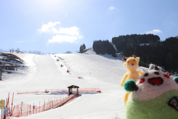 若杉高原 おおやスキー場で使えるクーポン一覧｜スキー・スノボの電子クーポン ダレモ【ゲレンデ】