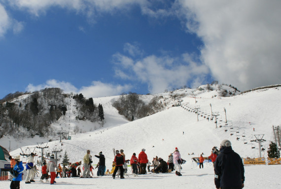 ヨゴコーゲンリゾート☆ヤップで使えるクーポン一覧｜スキー・スノボの電子クーポン ダレモ【ゲレンデ】