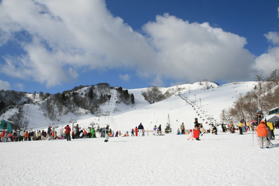 ヨゴコーゲンリゾート☆ヤップで使えるクーポン一覧｜スキー・スノボの電子クーポン ダレモ【ゲレンデ】