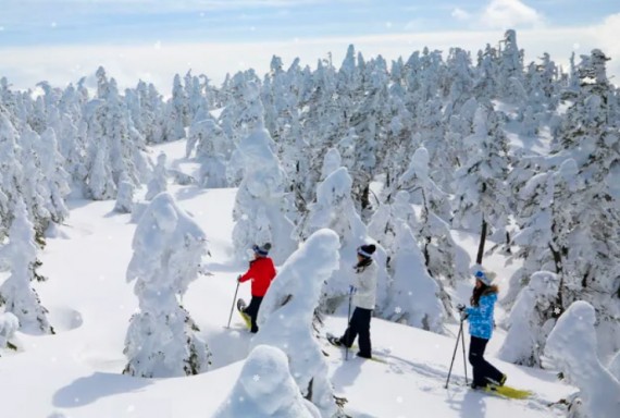 志賀高原 横手山・渋峠スキー場で使えるクーポン一覧｜スキー・スノボの電子クーポン ダレモ【ゲレンデ】