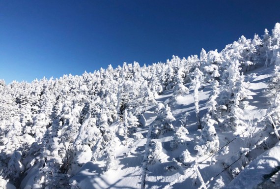 志賀高原 横手山・渋峠スキー場で使えるクーポン一覧｜スキー・スノボの電子クーポン ダレモ【ゲレンデ】