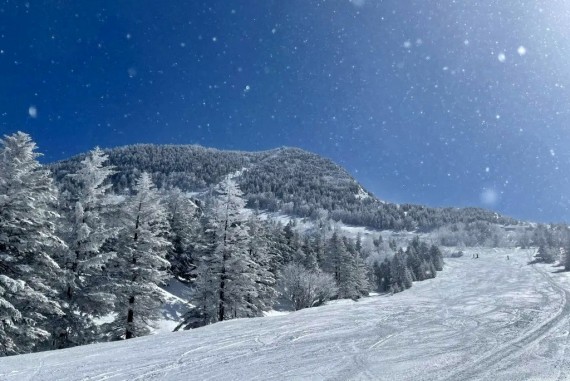 志賀高原 横手山・渋峠スキー場で使えるクーポン一覧｜スキー・スノボの電子クーポン ダレモ【ゲレンデ】