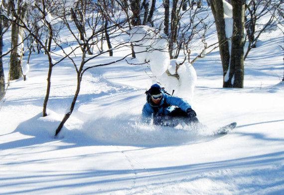 富良野スキー場で使えるクーポン一覧｜スキー・スノボの電子クーポン ダレモ【ゲレンデ】