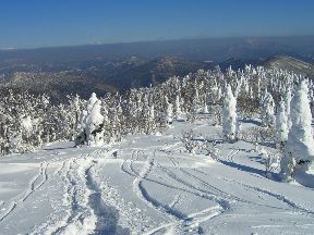 恐羅漢スノーパークで使えるクーポン一覧｜スキー・スノボの電子クーポン ダレモ【ゲレンデ】