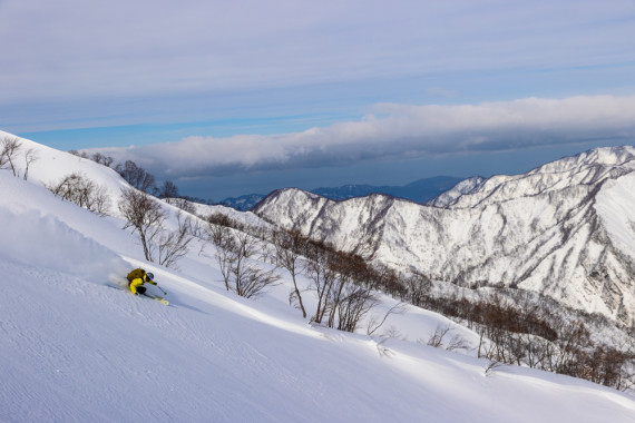 アライマウンテンリゾートで使えるクーポン一覧｜スキー・スノボの電子クーポン ダレモ【ゲレンデ】