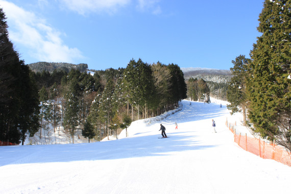 ひろしま県民の森で使えるクーポン一覧｜スキー・スノボの電子クーポン ダレモ【ゲレンデ】