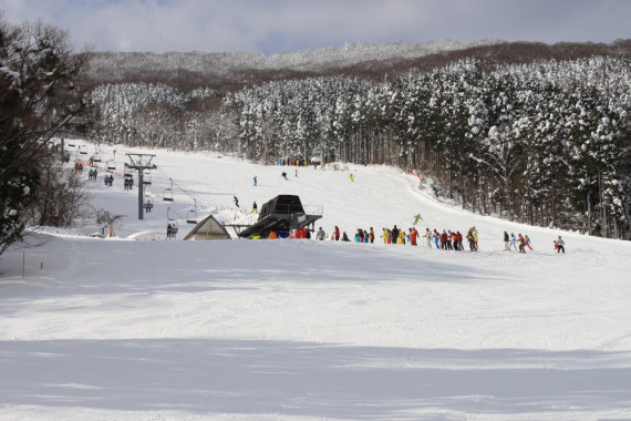 ひろしま県民の森で使えるクーポン一覧｜スキー・スノボの電子クーポン ダレモ【ゲレンデ】