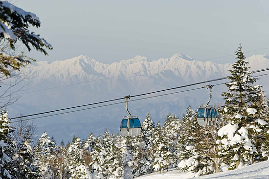 志賀高原　焼額山スキー場で使えるクーポン一覧｜スキー・スノボの電子クーポン ダレモ【ゲレンデ】