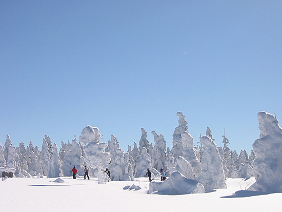 志賀高原 焼額山スキー場で使えるクーポン一覧｜スキー・スノボの電子クーポン ダレモ【ゲレンデ】