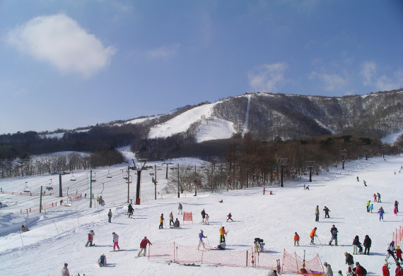 みやぎ蔵王白石スキー場で使えるクーポン一覧｜スキー・スノボの電子クーポン ダレモ【ゲレンデ】