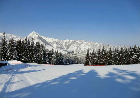 中里スノーウッドスキー場で使えるクーポン一覧｜スキー・スノボの電子クーポン ダレモ【ゲレンデ】