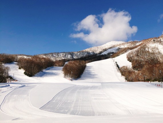 カルルス温泉 サンライバスキー場で使えるクーポン一覧|スキー・スノボの電子クーポン ダレモ【ゲレンデ】