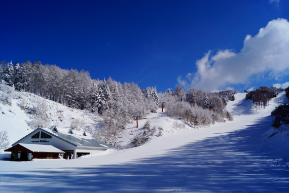 木曽福島スキー場で使えるクーポン一覧｜スキー・スノボの電子クーポン ダレモ【ゲレンデ】