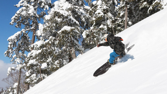 丸沼高原スキー場で使えるクーポン一覧｜スキー・スノボの電子クーポン ダレモ【ゲレンデ】