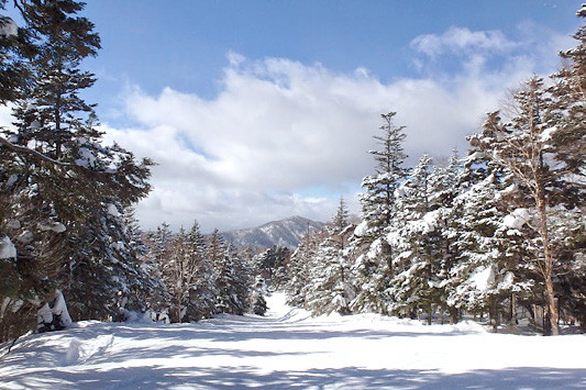 信州松本 野麦峠スキー場で使えるクーポン一覧｜スキー・スノボの電子クーポン ダレモ【ゲレンデ】