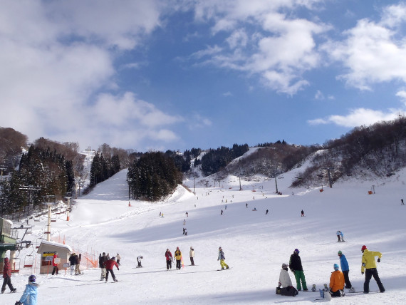 ホワイトピアたかすスキー場 1日券 3枚 リフト券 リフトチケット | WHITEPIA