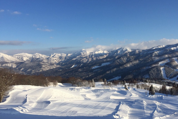 スノーウェーブパーク白鳥高原で使えるクーポン一覧｜スキー・スノボの電子クーポン ダレモ【ゲレンデ】