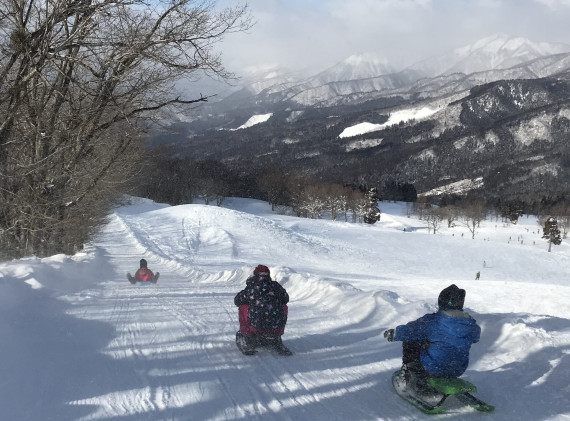 スノーウェーブパーク白鳥高原で使えるクーポン一覧｜スキー・スノボの電子クーポン ダレモ【ゲレンデ】
