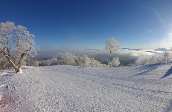 めいほうスキー場で使えるクーポン一覧｜スキー・スノボの電子クーポン ダレモ【ゲレンデ】
