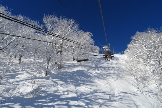 めいほうスキー場で使えるクーポン一覧｜スキー・スノボの電子クーポン ダレモ【ゲレンデ】