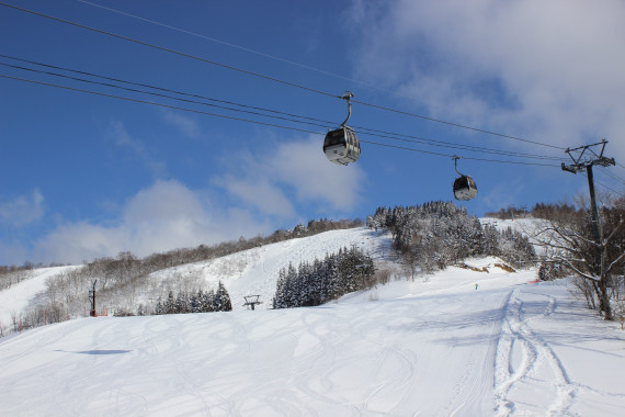 ウイングヒルズ白鳥リゾートで使えるクーポン一覧｜スキー・スノボの電子クーポン ダレモ【ゲレンデ】
