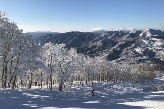 ウイングヒルズ白鳥リゾートで使えるクーポン一覧｜スキー・スノボの電子クーポン ダレモ【ゲレンデ】