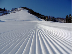 飛騨かわいスキー場で使えるクーポン一覧｜スキー・スノボの電子クーポン ダレモ【ゲレンデ】