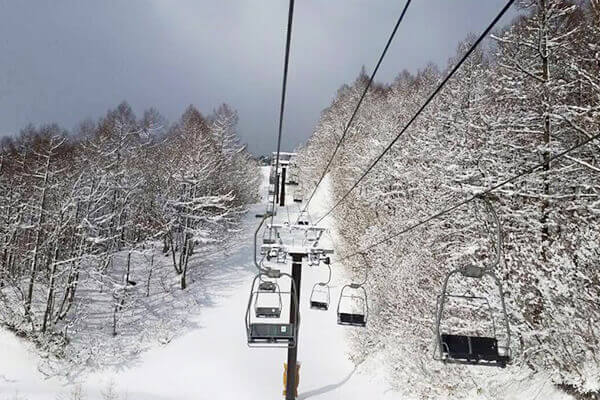 毎週平日の金曜日はレディースDay女性の方はリフト１日券１０００円offの３０００円！')