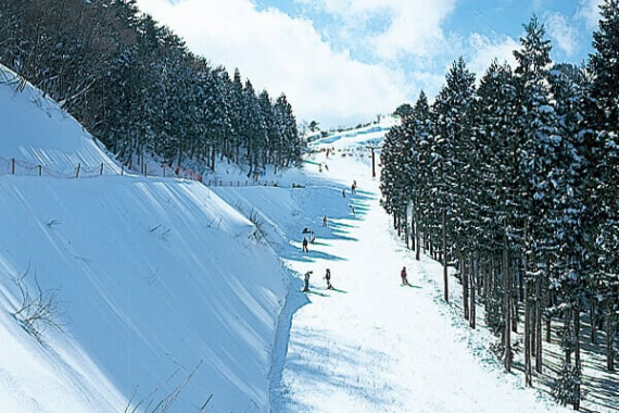 スカイバレイスキー場で使えるクーポン一覧｜スキー・スノボの電子クーポン ダレモ【ゲレンデ】